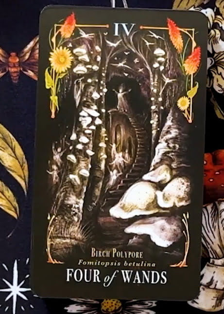 Midnight Magic: A Tarot Deck of Mushrooms